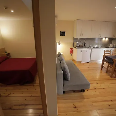 Cedofeita Back Garden *