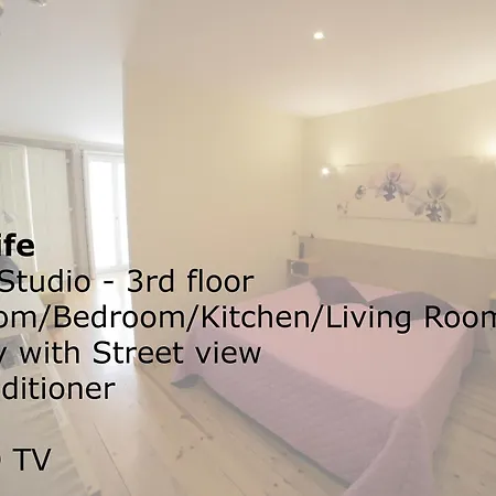 Cedofeita Back Garden Apartamento Oporto