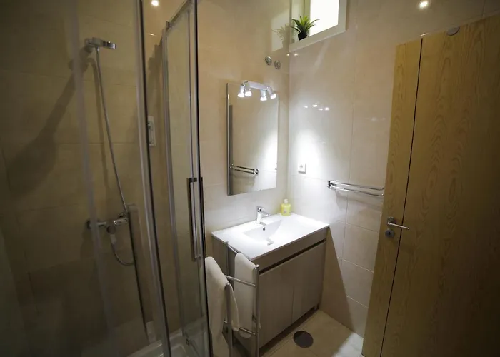 Apartman Cedofeita Back Garden