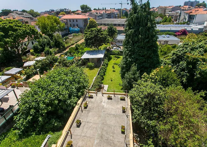 Cedofeita Back Garden *