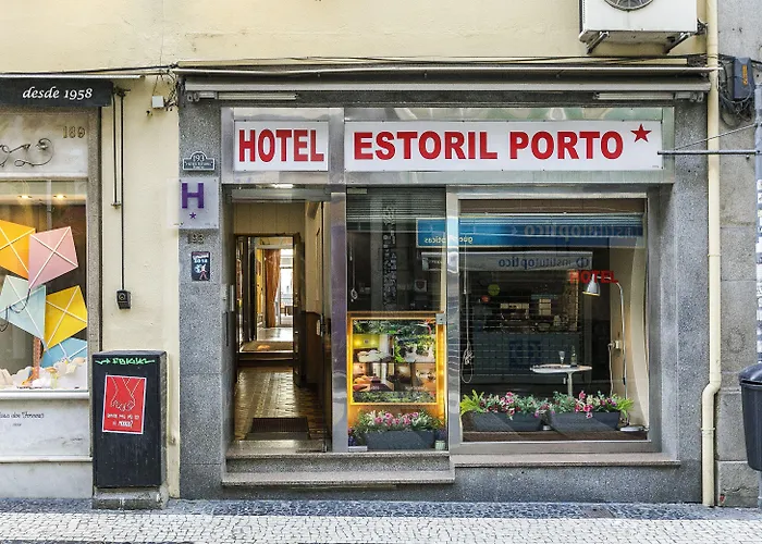 Cedofeita Back Garden *