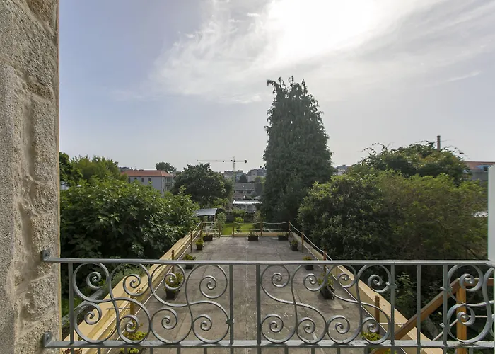 Apartment Cedofeita Back Garden *