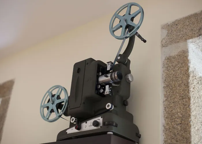 Cedofeita Back Garden Апартаменты *