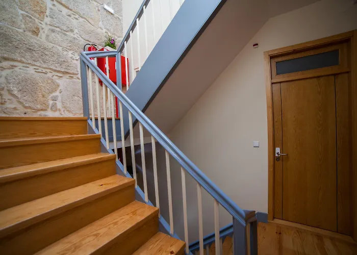 Cedofeita Back Garden *