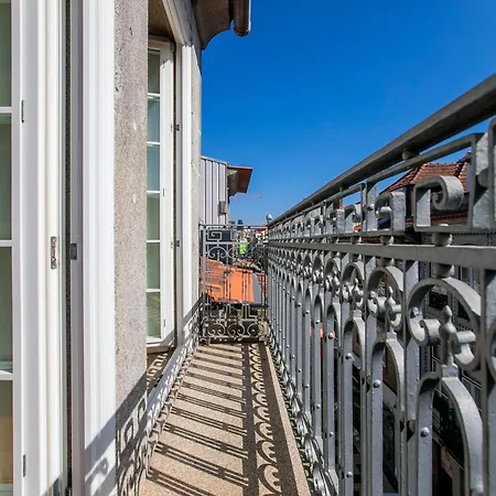 Cedofeita Back Garden