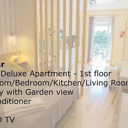 Cedofeita Back Garden *