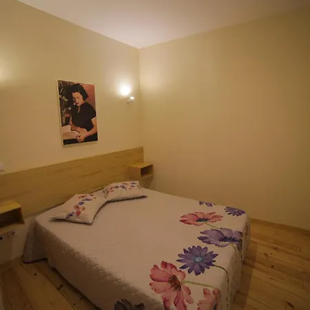 Cedofeita Back Garden Lägenhet